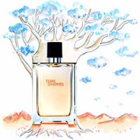 Hermes Terre D`Hermes